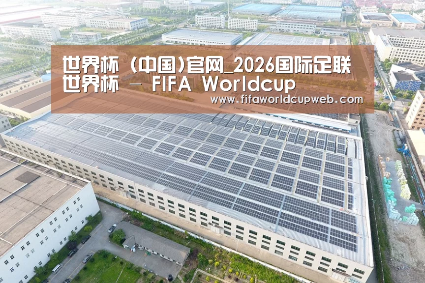案例展示二