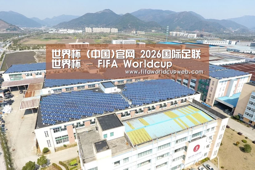案例展示二