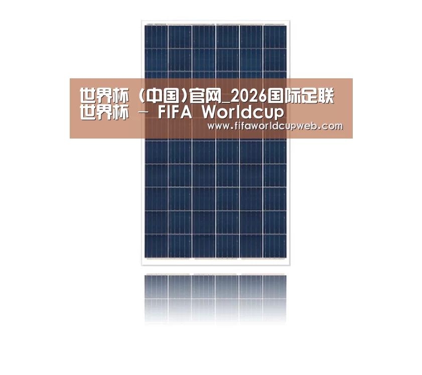 产品名称一