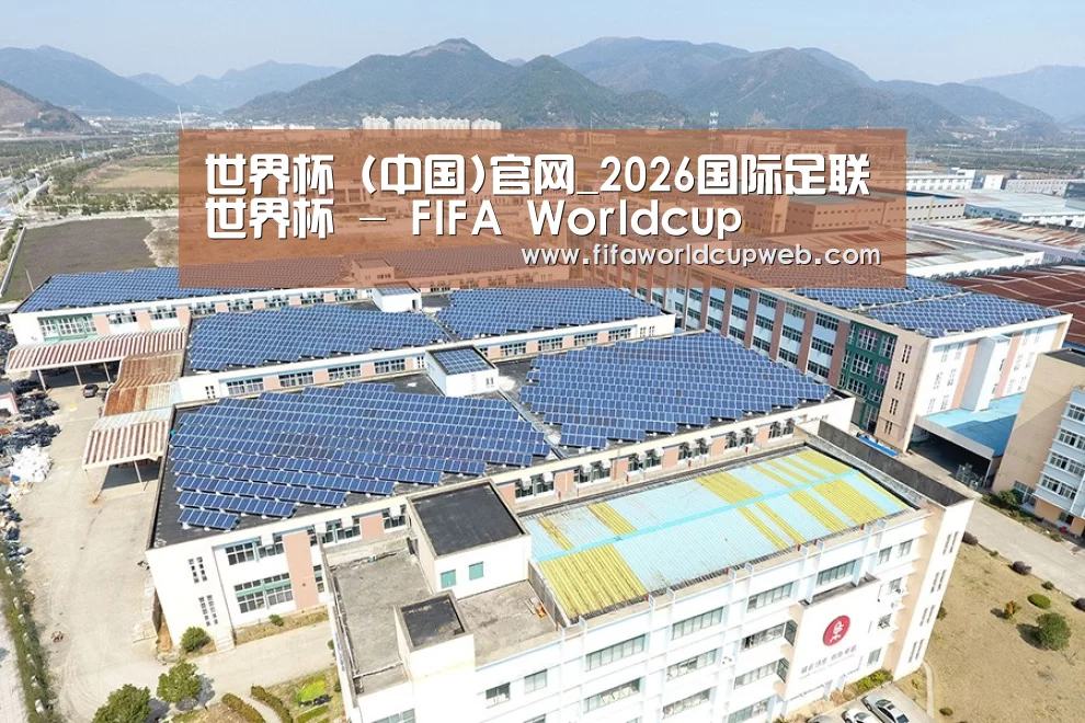 案例展示一