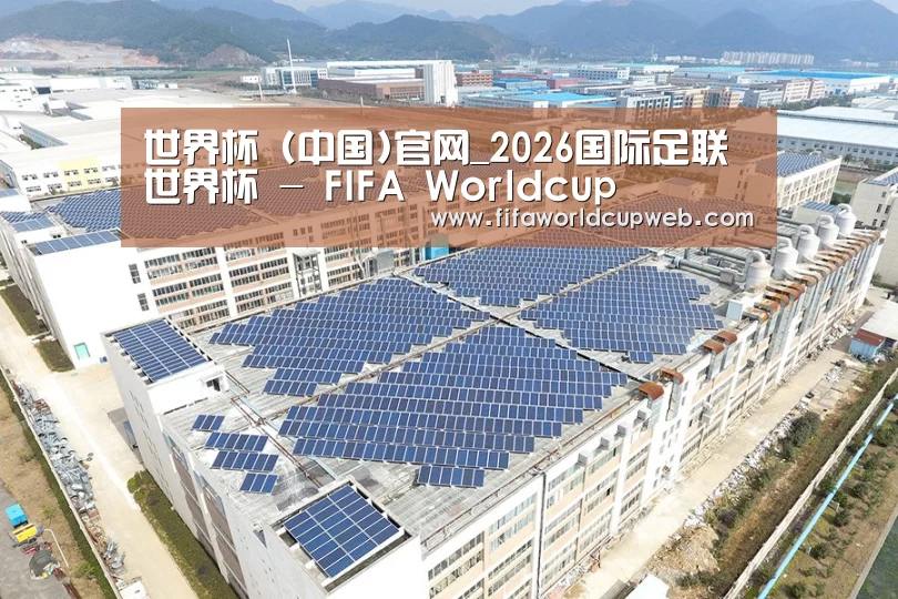 案例展示四