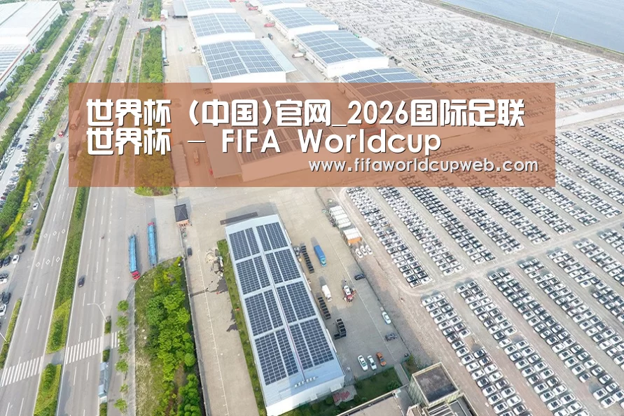 案例展示三