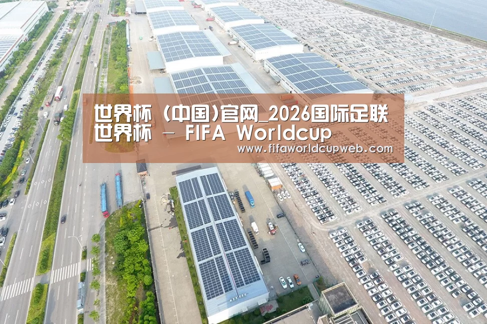 案例展示二