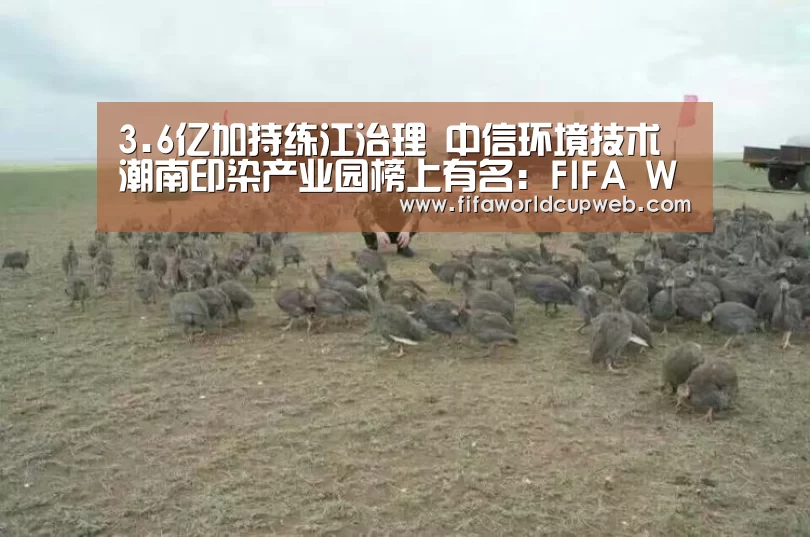 2026国际足联世界杯