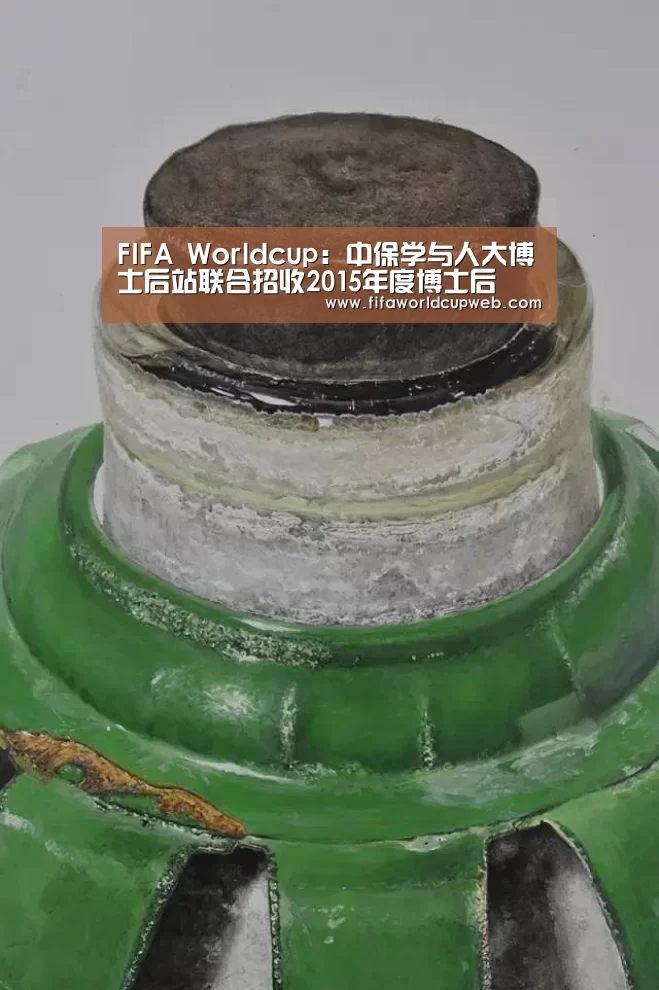 FIFA Worldcup:中保学与人大博士后站联合招收2015年度博士后(图2) 2026世界杯