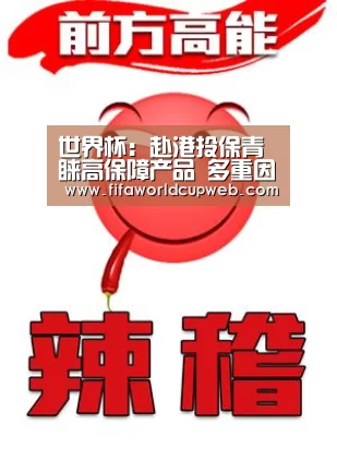 世界杯:赴港投保青睐高保障产品 多重因素需提前综合考虑(图1) 世界杯