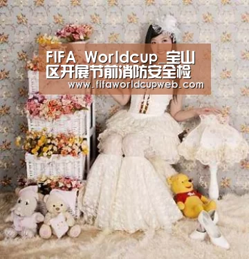 FIFA Worldcup_宝山区开展节前消防安全检查(图4) 世界杯