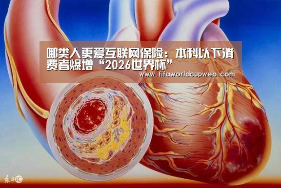 哪类人更爱互联网保险:本科以下消费者爆增
