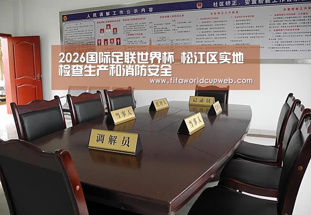 2026国际足联世界杯_松江区实地检查生